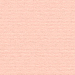 C-us0481A roze 10 stuks