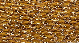 madeira 17-04-3021 goudmedalion nog 2 stuks leverbaar
