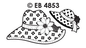 EB4853 T/G
