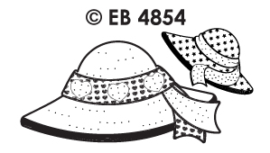 EB4854 T/G