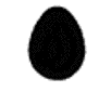 CCP1/029 Egg