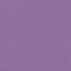 EU 4142 perfect purple de laatste