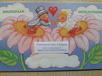 Cadeau-envelop 029 Bruidspaar gefeliciteerd