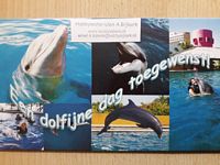 Cadeau-envelop 040 Een dolfijne dag toegewenst - Klik op de afbeelding om het venster te sluiten
