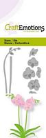 C115633/0231 Orchidee met lange steel - Klik op de afbeelding om het venster te sluiten