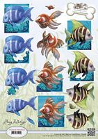 CD10538 Animal Medley Tropical Fish
