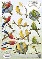 CD10539 Animal Medley Tropical Parrots - Klik op de afbeelding om het venster te sluiten